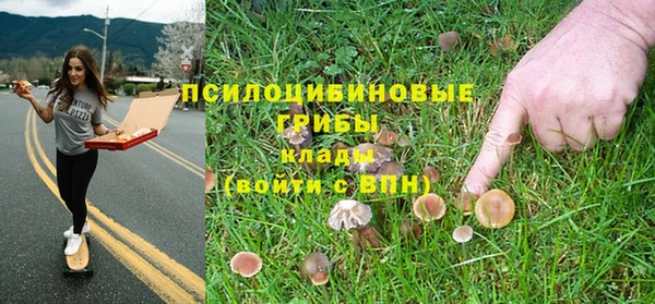 молекула духа Абинск
