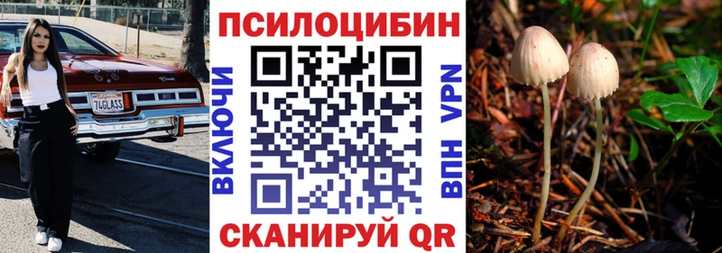 Галлюциногенные грибы Cubensis  ОМГ ОМГ зеркало  Партизанск  как найти  