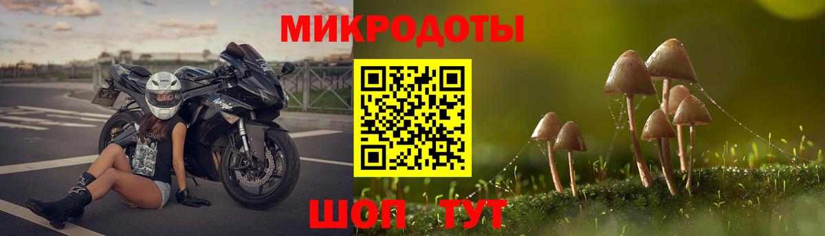 Партизанск  Псилоцибиновые грибы мухоморы  Вход с VPN  Галлюциногенные грибы мухоморы 
